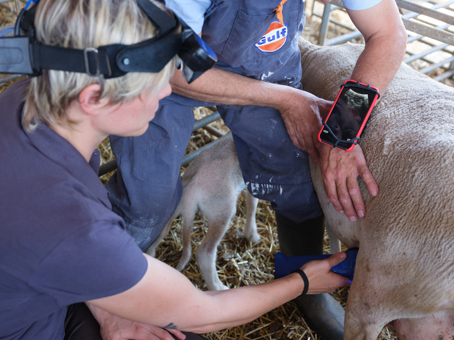 Duo-Scan:Go Plus Küçükbaş Ultrason Cihazı - Görsel 2